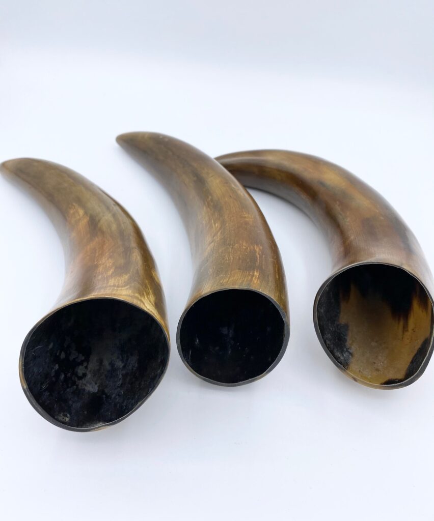 Blowing Horn - Image 3