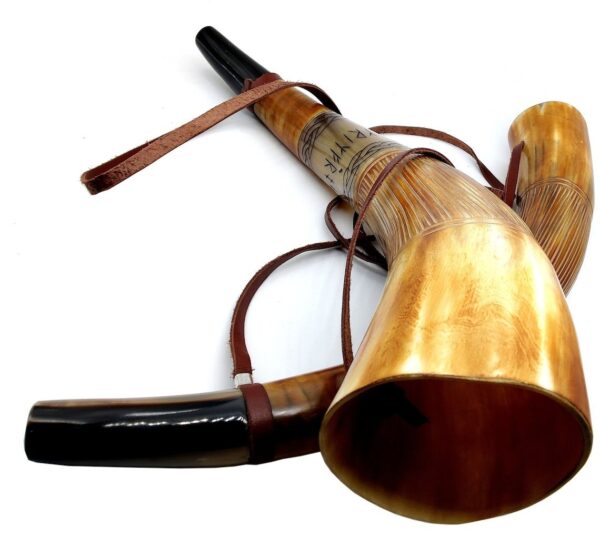 Blowing Horn with design