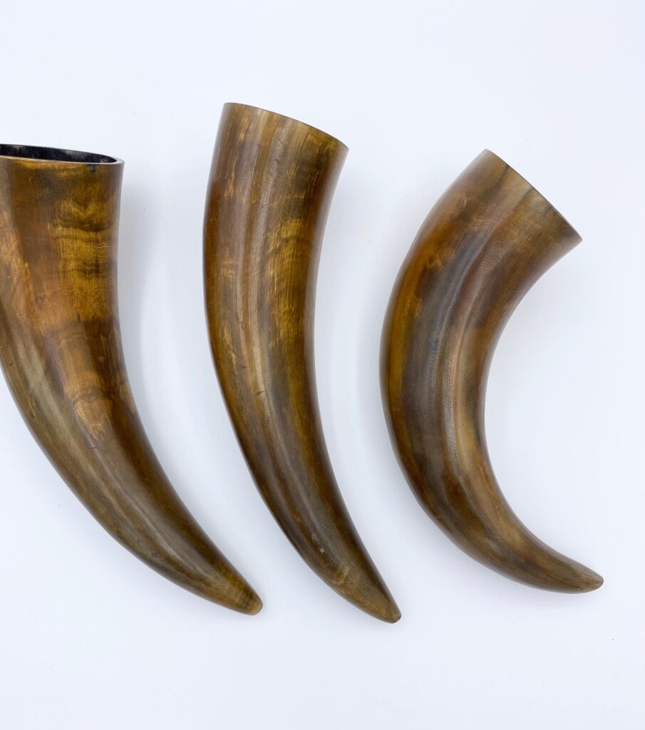 Blowing Horn - Image 2