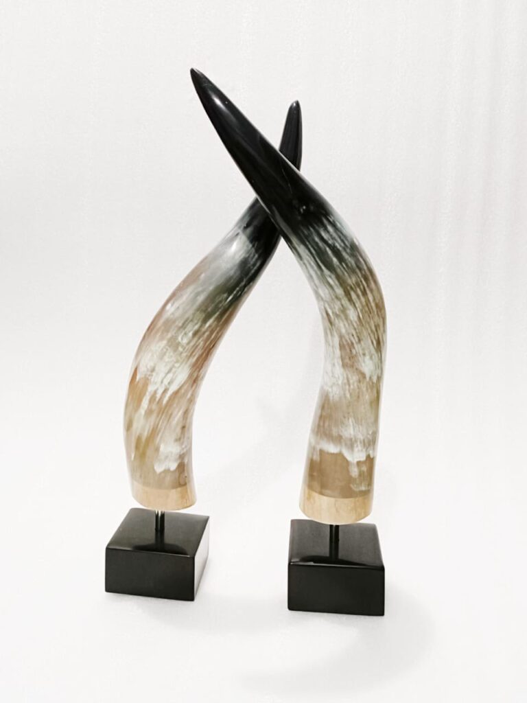 Horn Pairs - Image 2
