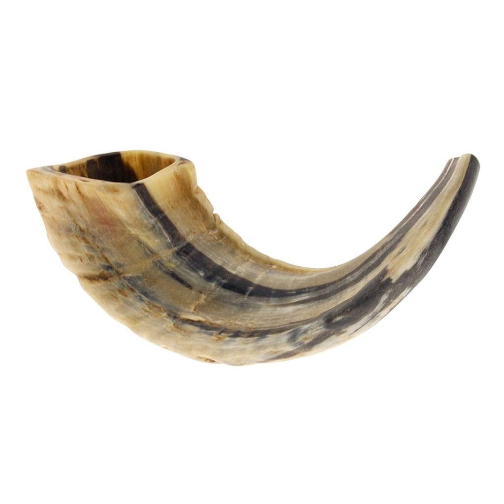 Ram Horn Shofar with color