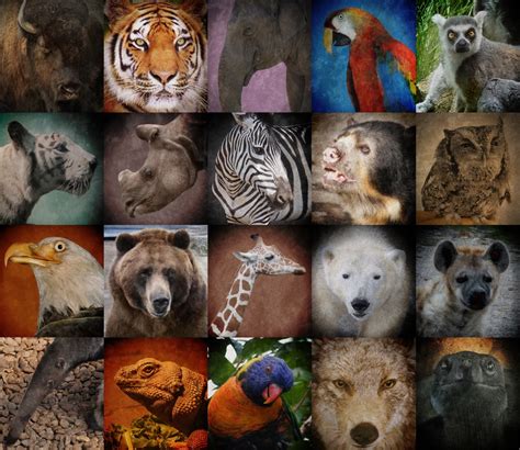 A World Of Endangered Animals 2025 𝚆𝚊𝚝𝚌𝚑 In 4K
