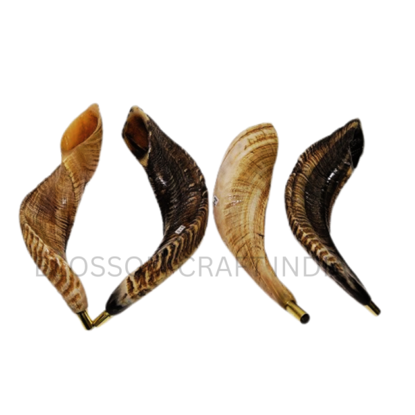 Handcrafted Sheep Ram Horn Shofar Natural Decorative Carved Shofar for Religious Purposes Raw Blowing Horn