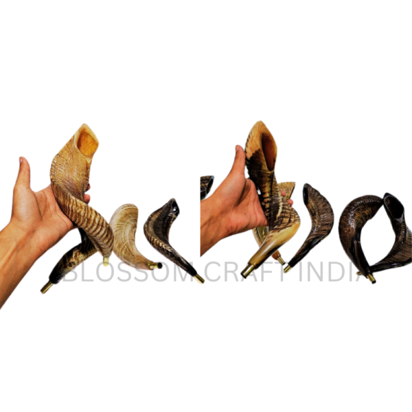 Handcrafted Sheep Ram Horn Shofar Natural Decorative Carved Shofar for Religious Purposes Raw Blowing Horn