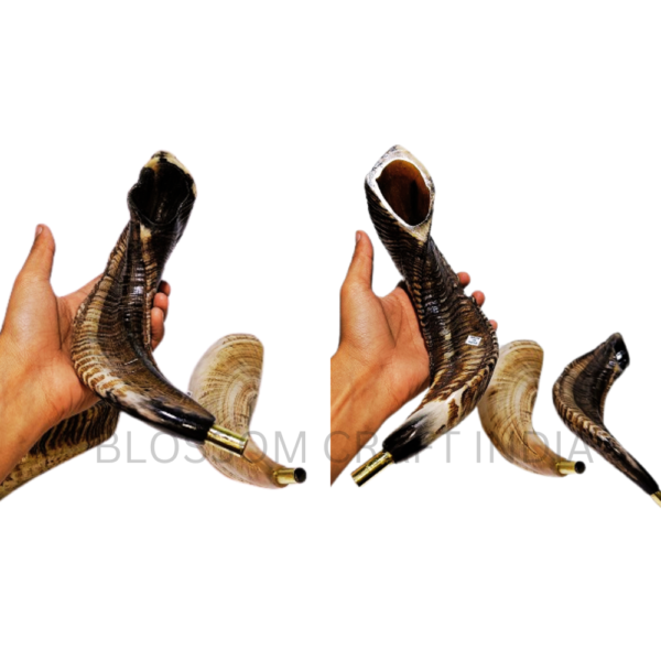 Handcrafted Sheep Ram Horn Shofar Natural Decorative Carved Shofar for Religious Purposes Raw Blowing Horn