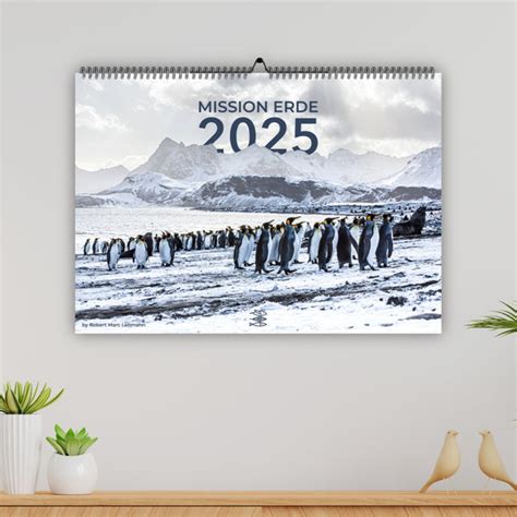 Verbrannte Erde 2025 full